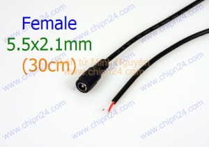 Dây nguồn DC chuôi Cái 30cm