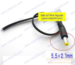 Dây nguồn DC chuôi Đực 30cm