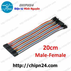 [20 sợi] (P69) Dây Cắm Test Board 20cm Đực-Cái