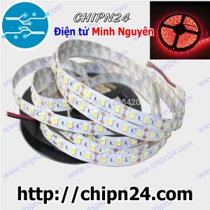 Led Dây 5050 Không Keo Chống Nước Đỏ 12VDC