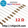 50-con-dien-tro-12r-1/4w-5 - ảnh nhỏ  1