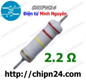 [F142] Điện Trở 2.2R 2W 5%