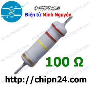 [F145] Điện Trở 100R 2W 5%