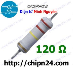 [F145] Điện Trở 120R 2W 5%