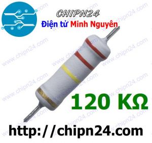 Điện Trở 120K 2W 5%