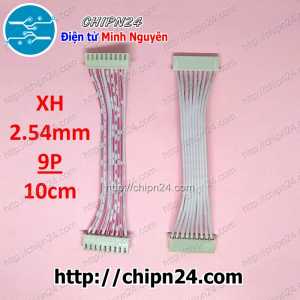 Dây bẹ trắng 9P XH2.54mm 2 đầu cắm dài 10cm