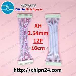 (P4) Dây bẹ trắng 12P XH2.54mm 2 đầu cắm dài 10cm