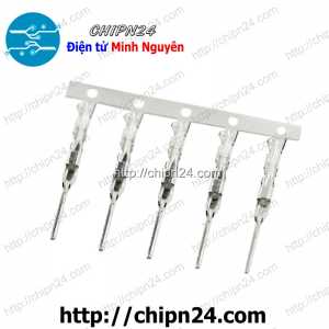 [25 cái] (I2) Lõi Header SM Dupont Đực 2.54mm (Dùng bấm đầu dây điện cho Dây cắm Testboard)