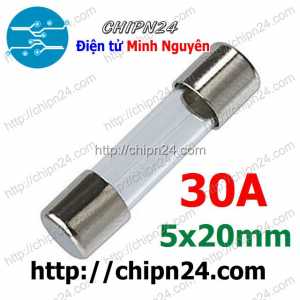 [10 cái] Cầu Chì Ống 5x20mm 30A 250V (Cầu chì Ống thủy tinh)