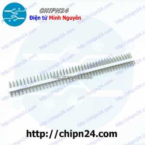 (H45) Hàng rào Đực Đôi Thẳng 2.54MM 2x40p Trắng (Jump, Header)