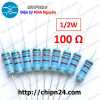 20-con-dien-tro-100r-1/2w-5 - ảnh nhỏ  1