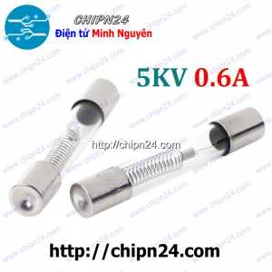 Cầu chì lò vi sóng 5KV 0.6A (6x40MM)