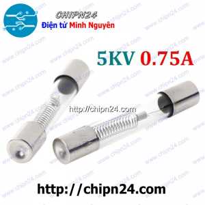Cầu chì lò vi sóng 5KV 0.75A (6x40MM)