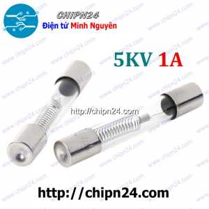 (K444) Cầu chì lò vi sóng 5KV 1A (6x40MM)