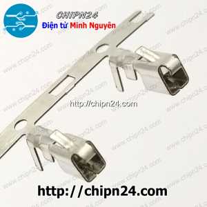 [25 cái] Lõi Header VH3.96