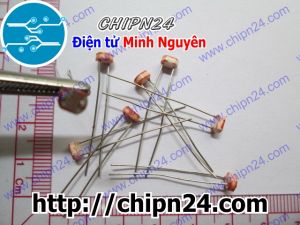 Quang Trở CDS 5MM 5537
