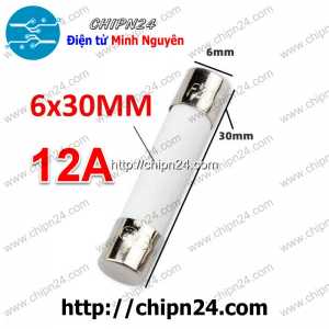 (K427) Cầu chì Sứ 6x30mm 12A 250VAC
