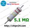 dien-tro-5m1-2w-5 - ảnh nhỏ  1